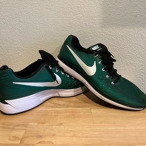 Nike Zoom Pegasus 34
